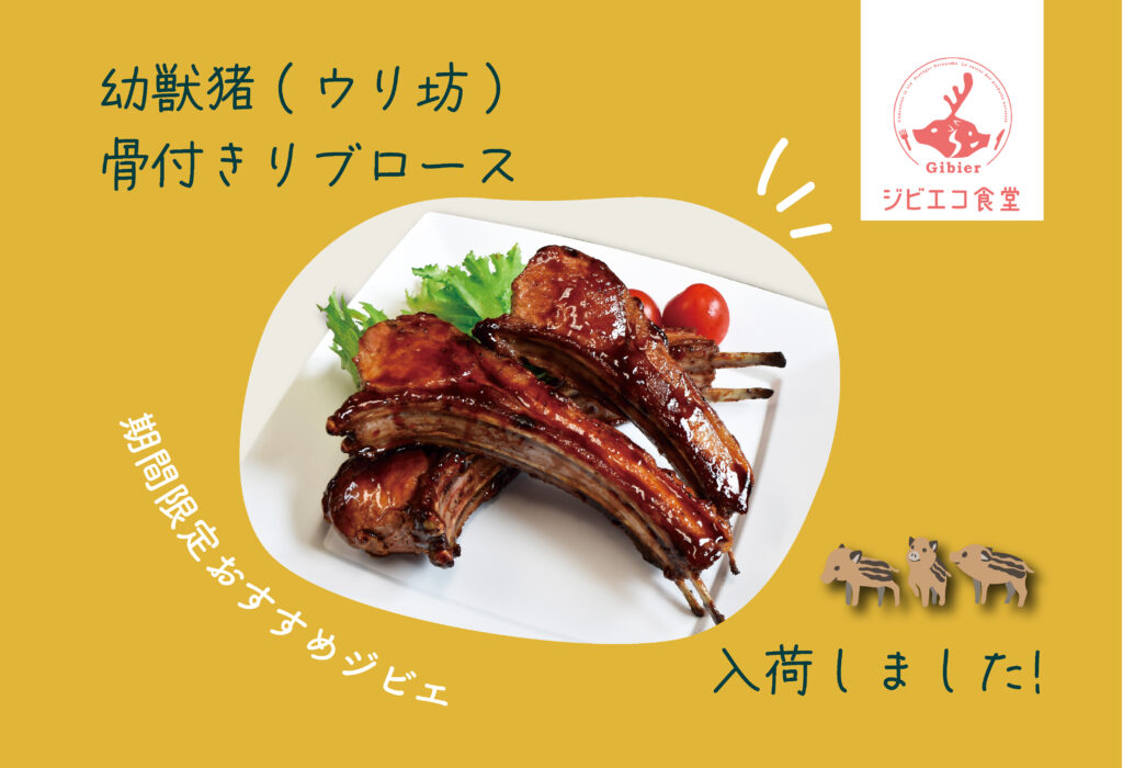 【季節品・数量限定】希少ジビエ「幼獣猪(ウリ坊)骨付きリブロース」入荷しました！